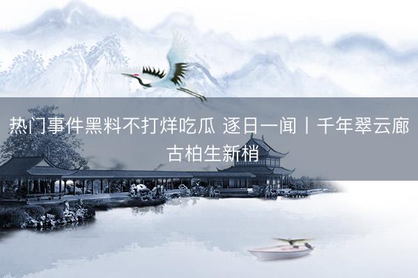 热门事件黑料不打烊吃瓜 逐日一闻丨千年翠云廊 古柏生新梢