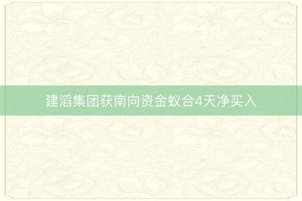 建滔集团获南向资金蚁合4天净买入