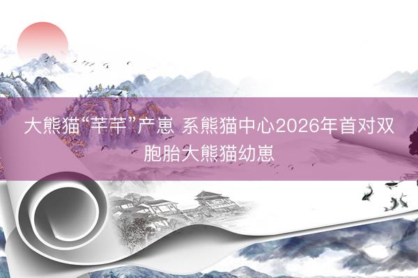 大熊猫“芊芊”产崽 系熊猫中心2026年首对双胞胎大熊猫幼崽
