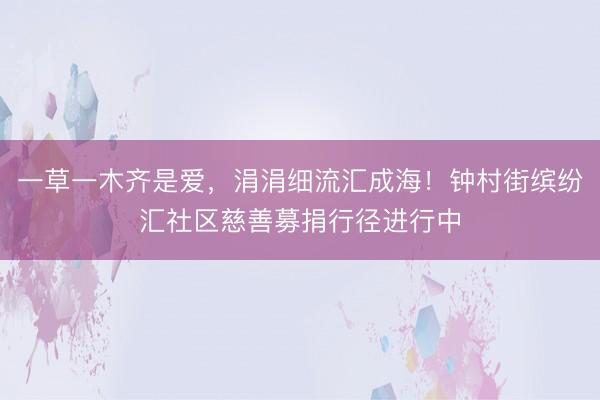 一草一木齐是爱，涓涓细流汇成海！钟村街缤纷汇社区慈善募捐行径进行中