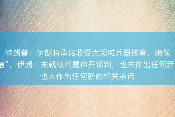 特朗普：伊朗将承诺收受大领域兵器核查，确保保捏“核诚信”，伊朗：未就核问题伸开谈判，也未作出任何新的相关承诺