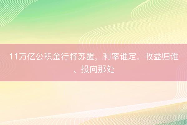 11万亿公积金行将苏醒，利率谁定、收益归谁、投向那处